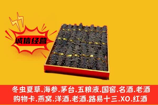 积石山县回收海参